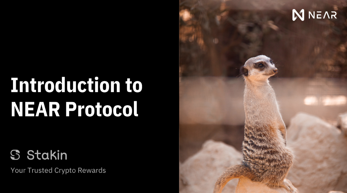 An Introduction to Near Protocol