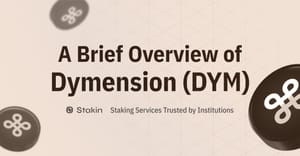 Meet Dymension - A New Way of Addressing Scalability Issues with Blockchains
