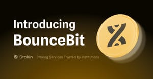An Introduction to BounceBit