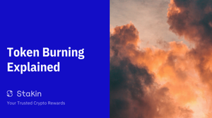 Token Burning Explained