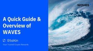 A Quick Guide & Overview of Waves