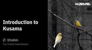 Kusama ($KSM): Introduction to Polkadot canary network