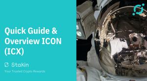What is ICON? Quick Guide and Overview