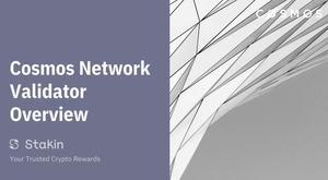 Cosmos Network: Validator Overview