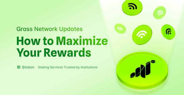 Grass Network Updates - How to Maximize Your Rewards